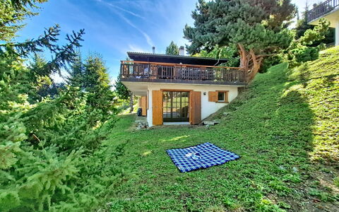 Ozer: House, Home, Cottage, Garden, Rural Area, Lawn, Farmhouse, Estate, Yard, Backyard