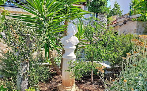 Bliss: Shrub, Garden, Lawn Ornament, Flowerpot, Column, Landscaping, Houseplant, Botanical Garden