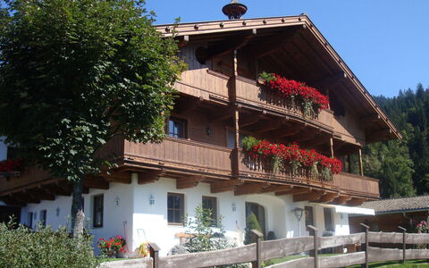 Hopfgarten im Brixental 696: Cottage, Balcony, Village, Flowerpot, Houseplant, Farmhouse