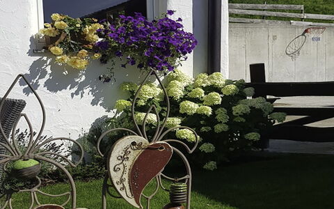 Hopfgarten im Brixental 696: Flower, Spring, Garden, Floristry, Flowerpot, Floral Design, Yard, Landscaping, Houseplant