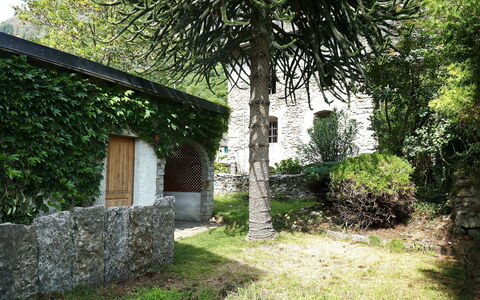 Ludiano 25: Leaf, Shrub, Garden, Stone Wall, Shade, Backyard