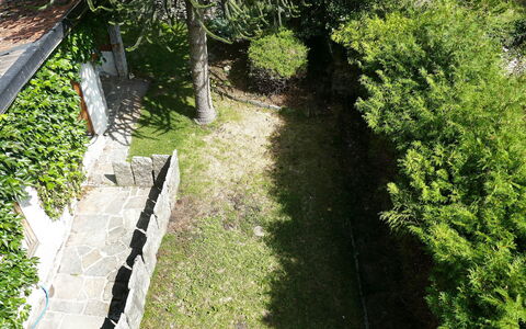 Ludiano 25: Green, Leaf, Shrub, Garden, Groundcover, Shade, Backyard, Walkway, Yard
