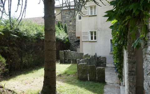 Ludiano 25: Wall, Shrub, Groundcover, Garden, Stone Wall, Backyard, Landscaping, Yard, Walkway, Courtyard