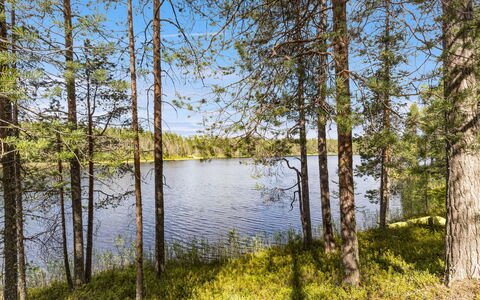 Hakojärventie 3B: Water Resources, Water, Body Of Water, Green, Tree, Nature, Natural Environment, Natural Landscape, Leaf, Vegetation