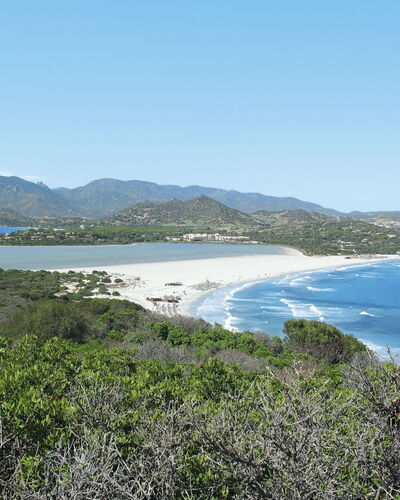 Habitat