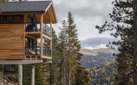 03 Nth029 Premium Chalet mit Sauna und Hot Tub: Wood, Cottage, Larch, Log Cabin, Balcony, Lumber, Porch, Hardwood