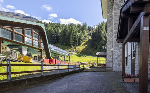 La Fiorera: Driveway, Larch, Path