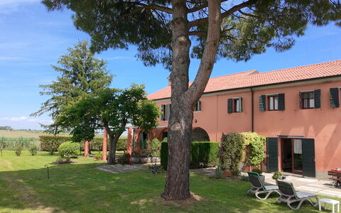 Ca' Rustica: Shrub, Estate, Hacienda, Garden, Landscaping, Yard, Lawn, Driveway, Shade, Villa