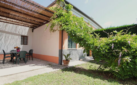 Ca' Rustica: Shade, Garden, Backyard, Yard, Hacienda, Landscaping, Eco Hotel, Courtyard, Outdoor Structure, Farmhouse