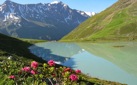 Alpenchalet Gundolf: Furniture, Interior Design, Chair, Flooring, Table, Resort, Floor, Ceiling, Room, Eco Hotel