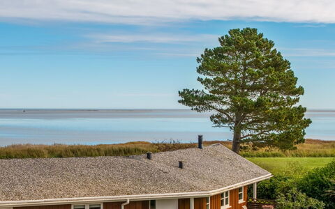 Heilo - from the Sea: Grass, Land Lot, Cottage, Roof, Sea, Estate, Ocean, Coast, Farmhouse