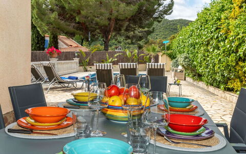 Marsa: Vegetation, Shrub, Spring, Cottage, Garden, Shade, Backyard, Yard, Chair