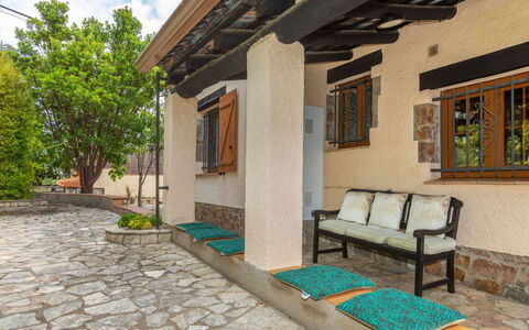 Marsa: Vegetation, Shrub, Spring, Cottage, Garden, Shade, Backyard, Yard, Chair