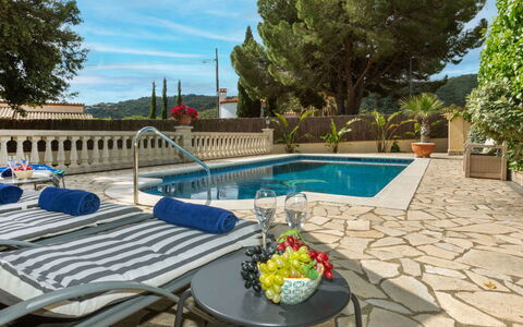 Marsa: Vegetation, Shrub, Spring, Cottage, Garden, Shade, Backyard, Yard, Chair