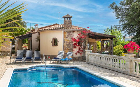 Marsa: Vegetation, Shrub, Spring, Cottage, Garden, Shade, Backyard, Yard, Chair
