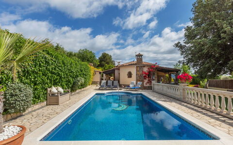 Marsa: Vegetation, Shrub, Spring, Cottage, Garden, Shade, Backyard, Yard, Chair