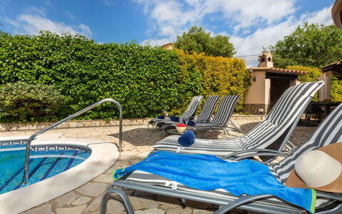 Marsa: Vegetation, Shrub, Spring, Cottage, Garden, Shade, Backyard, Yard, Chair