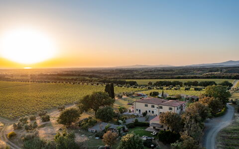Villa Bellaria, Private Pool, Bolgheri: Landscape, Plain, Horizon, Grassland, Land Lot, Rural Area, Ecoregion, Field, Agriculture, Plantation