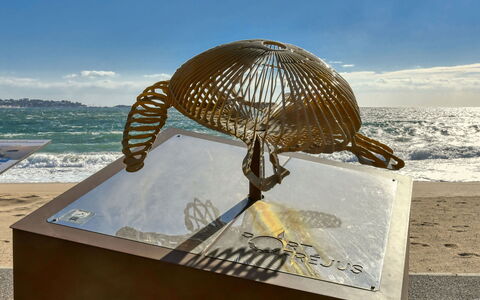 Virginie: Sea, Ocean, Coast, Beach, Sand