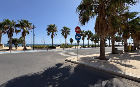 Appartamento Il Vulcano: Tree, Street Light, Shade, Sidewalk, Walkway
