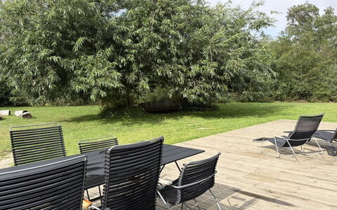 Pirka - 500M from the Sea: Shrub, Shade, Garden, Woody Plant, Outdoor Furniture, Lawn, Landscaping, Yard, Park, Backyard