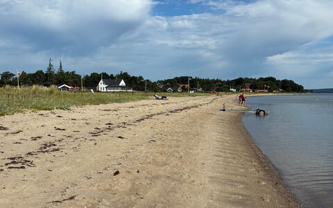 Fabian - 300M from the Sea: Wood, Furniture, Apartment, Room, Ceiling, Wood Stain, Chair, Hardwood, Varnish, Lumber