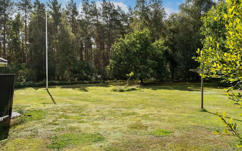 Fritzy - 1.5Km from the Sea: Grass, Tree, Leaf, Land Lot, Lawn, Garden, Trunk, Grove, Shade