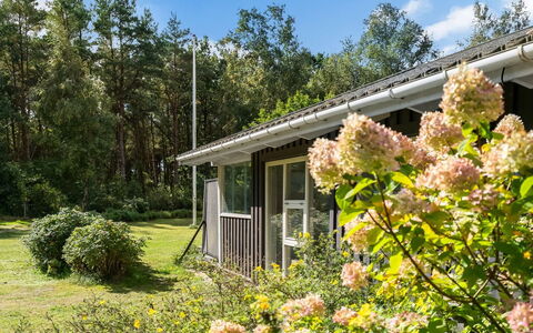 Fritzy - 1.5Km from the Sea: Vegetation, Shrub, House, Cottage, Home, Garden, Land Lot, Plant Community, Groundcover, Spring
