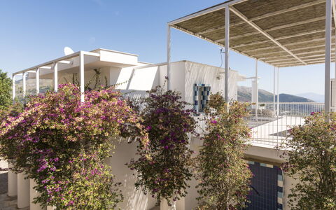 Capri: Balcony, Apartment, Shade, Daylighting