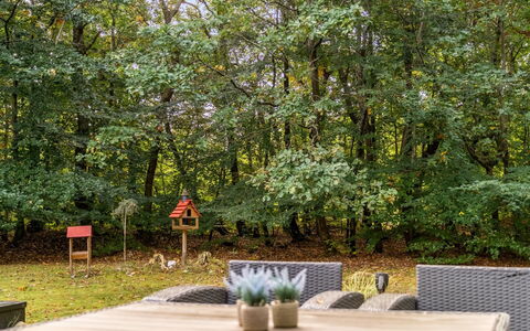 Nanook - from the Sea: Tree, Leaf, Vegetation, Shrub, Furniture, Outdoor Furniture, Garden, Plant Community, Trunk, Spring