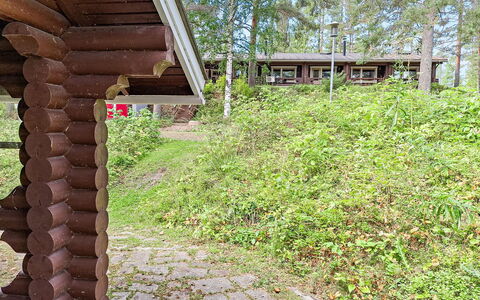 Mäkrä 3: Wood, Shrub, Land Lot, Groundcover, Forest, Spring, Trunk, Woodland, Garden, Cottage