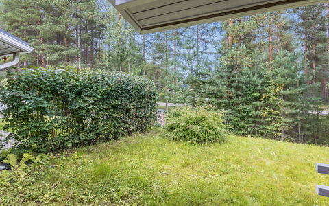 Artunkuja: Shrub, Garden, Groundcover, Spring, Hedge, Shade, Lawn, Landscaping, Yard, Backyard