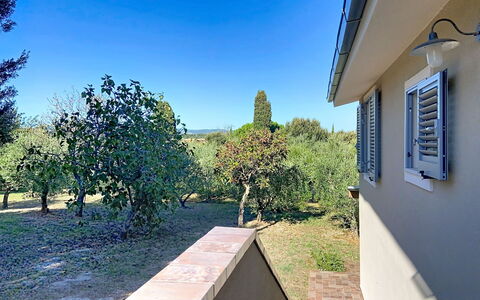 Linaglia: Residential Area, Home, Shade, Garden, Suburb, Estate, Landscaping, Yard, Backyard, Driveway