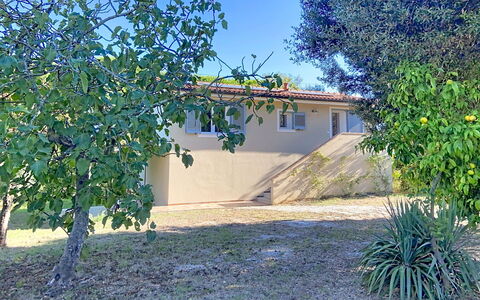 Linaglia: Shade, Garden, Backyard, Yard, Lawn, Landscaping, Driveway, Shadow, Farmhouse