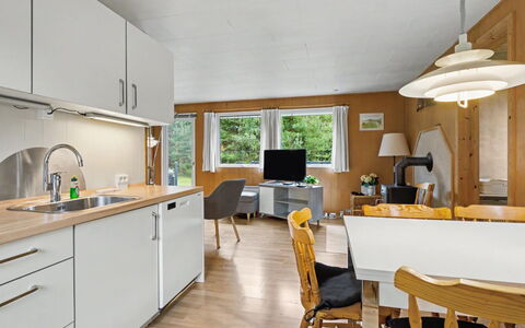 Karelia - 900M from the Sea: Furniture, Interior Design, Flooring, Wood, Ceiling, Floor, Kitchen, Room, Light Fixture, Countertop