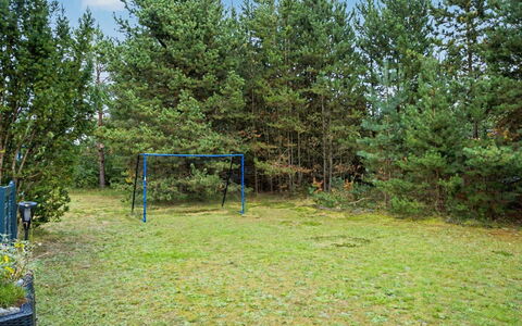Karelia - 900M from the Sea: Tree, Woody Plant, Lawn, Garden, Grove, Woodland, Shade, Park, Landscaping, Evergreen