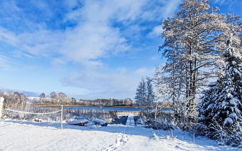 Worławki 100: Snow, Sky, Blue, Winter, Branch, Daytime, Tree, Natural Landscape, Twig, Frost