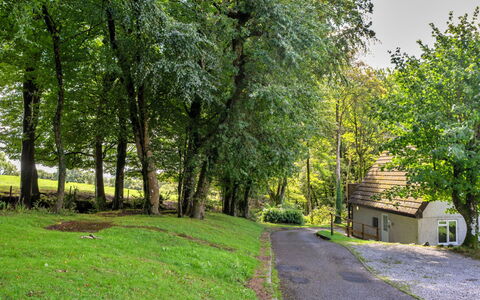 Foxgloves Valley Lodge: Tree, Branch, Leaf, Grass, Nature, Vegetation, Shrub, Rural Area, Spring, Garden