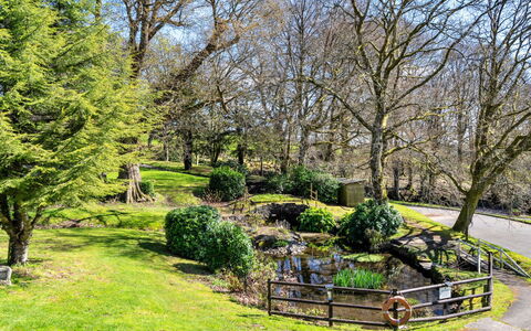 Foxgloves Valley Lodge: Grass, Tree, Leaf, Nature, Branch, Shrub, Natural Landscape, Garden, Landscape