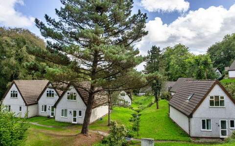 Daisy Valley Lodge: Shrub, Rural Area, Cottage, Garden, Lawn, Meadow, Landscaping, Larch, Evergreen
