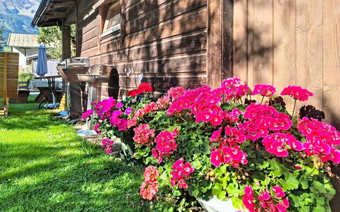 Mayrhofen 44: Flower, Petal, Garden, Pink, Flowering Plant, Spring, Groundcover, Floristry, Flowerpot