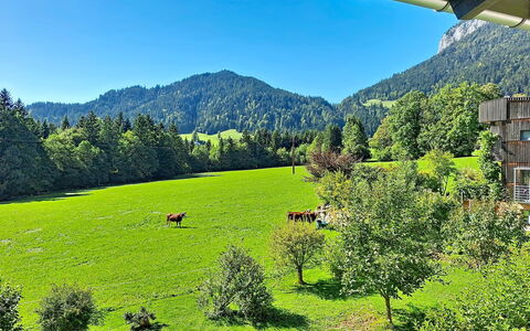 Ferienhaus Lanzinger: Mountainous Landforms, Green, Tree, Grass, Mountain, Natural Landscape, Grassland, Hill, Highland, Landscape