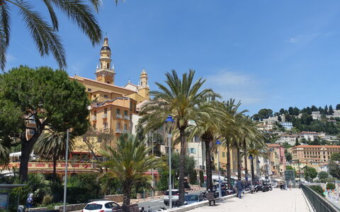 Le Magellan: Tree, City, Town, Tourist Attraction, Coast, Resort Town, Street Light, Vacation