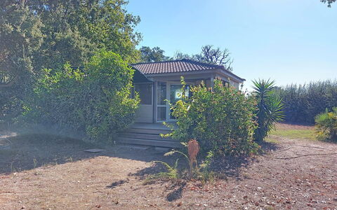 A Casetta: Shrub, Cottage, Home, Land Lot, Estate, Garden, Garden Buildings, Driveway, Shade