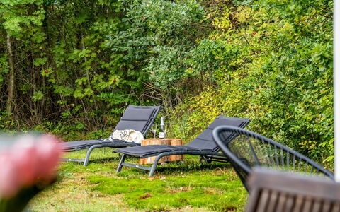Aisa - 200M from the Sea: Green, Leaf, Vegetation, Outdoor Furniture, Furniture, Sunlight, Groundcover, Chair, Garden, Shade