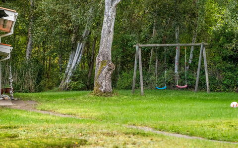 Aisa - 200M from the Sea: Grass, Nature, Leaf, Branch, Garden, Lawn, Land Lot, Trunk, Backyard