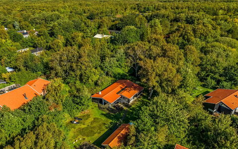 Aisa - 200M from the Sea: Natural Environment, Nature, Bird'S-Eye View, Landscape, Vegetation, Residential Area, Aerial Photography, Land Lot, Rural Area, Home