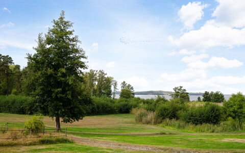 Björkfjärden: Sky, Blue, Leaf, Green, Grass, Tree, Nature, Natural Environment, Branch, Vegetation