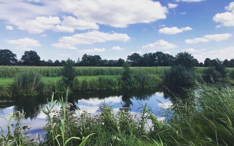 Meyer: Sky, Blue, Cloud, Green, Natural Environment, Nature, Natural Landscape, Cumulus, Summer, Grassland
