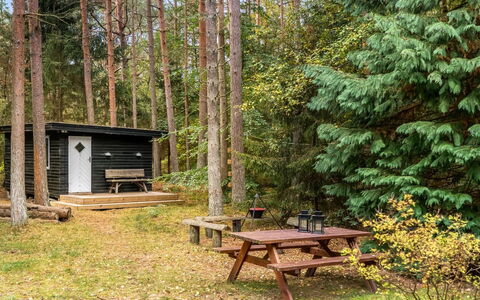 Waghn - from the Sea: Snow, Wood, Winter, Cottage, House, Roof, Home, Freezing, Log Cabin, Twig